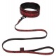 Collier et laisse Fifty Shades rouge et noir