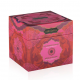 Set de massage saveur fraise Kama Sutra Treasure Trove